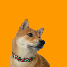 Load image into Gallery viewer, Medium
