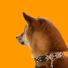 Load image into Gallery viewer, Large