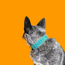 Load image into Gallery viewer, Medium Wide