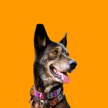 Load image into Gallery viewer, Extra Large Wide
